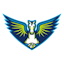 Dallas Wings Logo