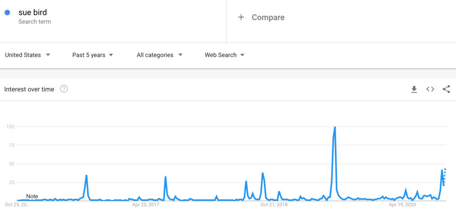 Searches for Sue Bird have held relatively consistent on Google Trends with a pop in 2019 accompanying her coming out with Megan Rapinoe