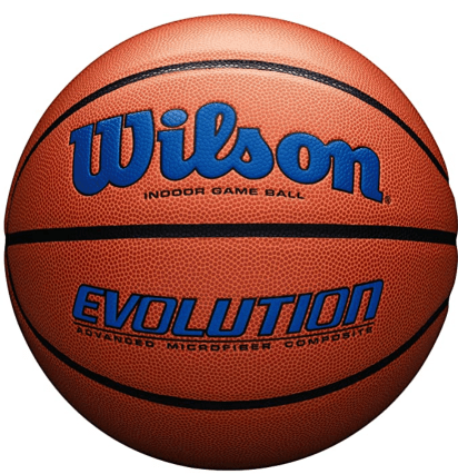 Wilson Evolution best outdoor basketball