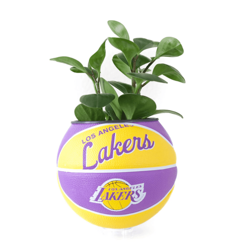 Basketball planter