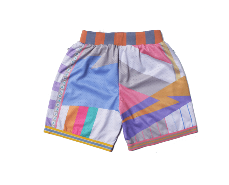 Collect and Select WHAT THE PT.2 SWINGMAN SHORTS back side